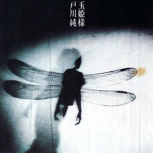 frcc嫩白的1516性HD
