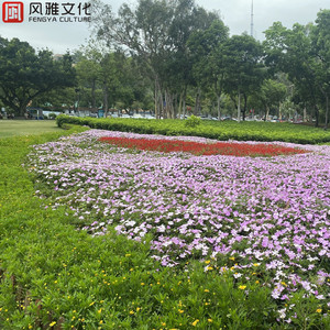 frcc嫩白的1516性HD
